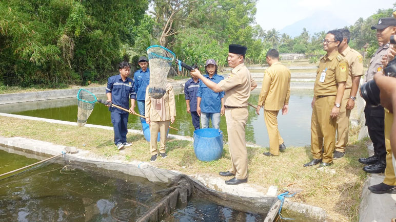 Beong Ikan Endemic Magelang Dipanen