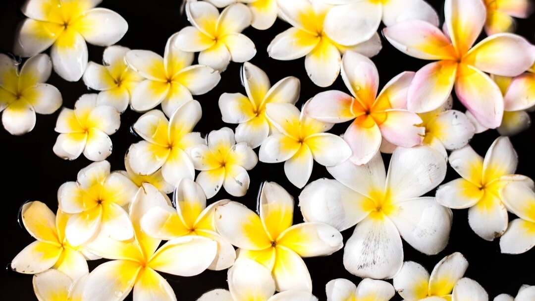 Kebon Kantil Magelang, Taman yang Lekat dengan Masyarakat Jawa