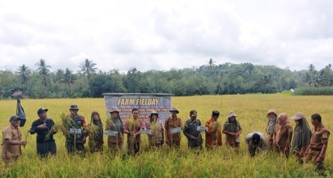 Petani Sinjai Harapkan Bulog Serap Gabah Sesuai Ketetapan HPP Pemerintah