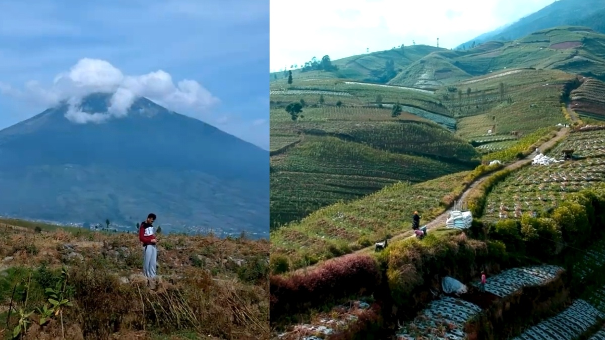 Spot Foto Cantik dari Desa Glapansari Parakan yang Jadi Perkebunan Tembakau Terbesar di Temanggung