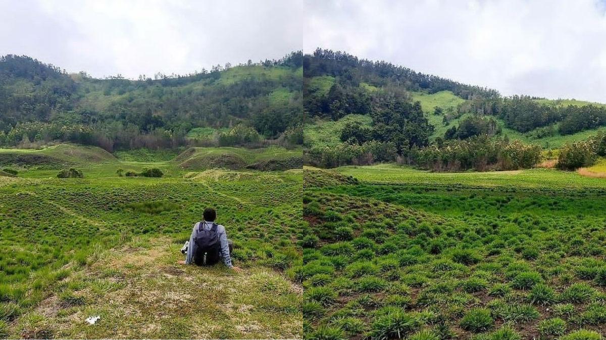 Savana Pangonan: Keindahan Padang Savana Gunung Pangonan di Wonosobo Yang Penuh Daya Tarik