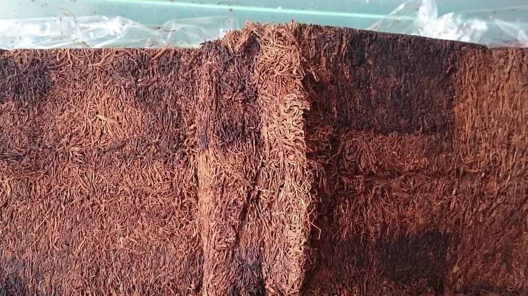 Keunggulan Tembakau Garangan, Produk Khas Wonosobo yang Berpotensi Dorong Pariwisata