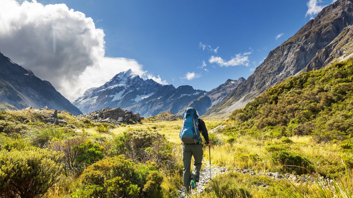 Pendaki Pemula Wajib Tahu! Ini Dia Tips dan Syarat Sebelum Mendaki Gunung Merbabu