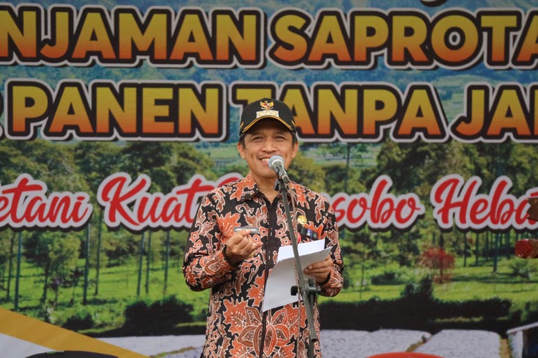 Nasib! Tak Ada Jatah Pupuk Bersubsidi bagi Petani Tembakau dan Kentang