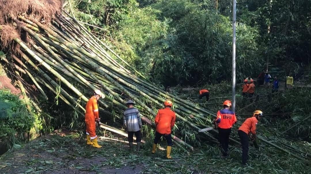 195 Bencana Terjadi di Temanggung dalam 5 Bulan, Longsor dan Cuaca Ekstrem Dominasi
