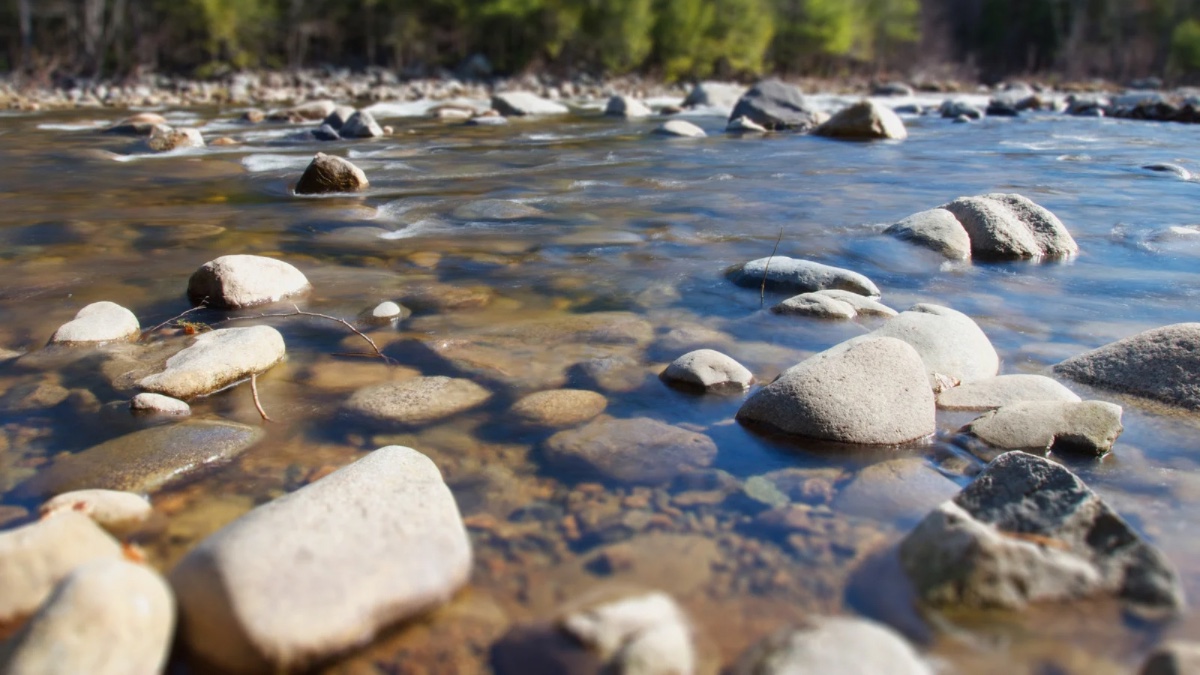 5 Ciri-ciri Sungai Mengandung Emas Bisa Diketahui Tanpa Bantuan Alat Khusus