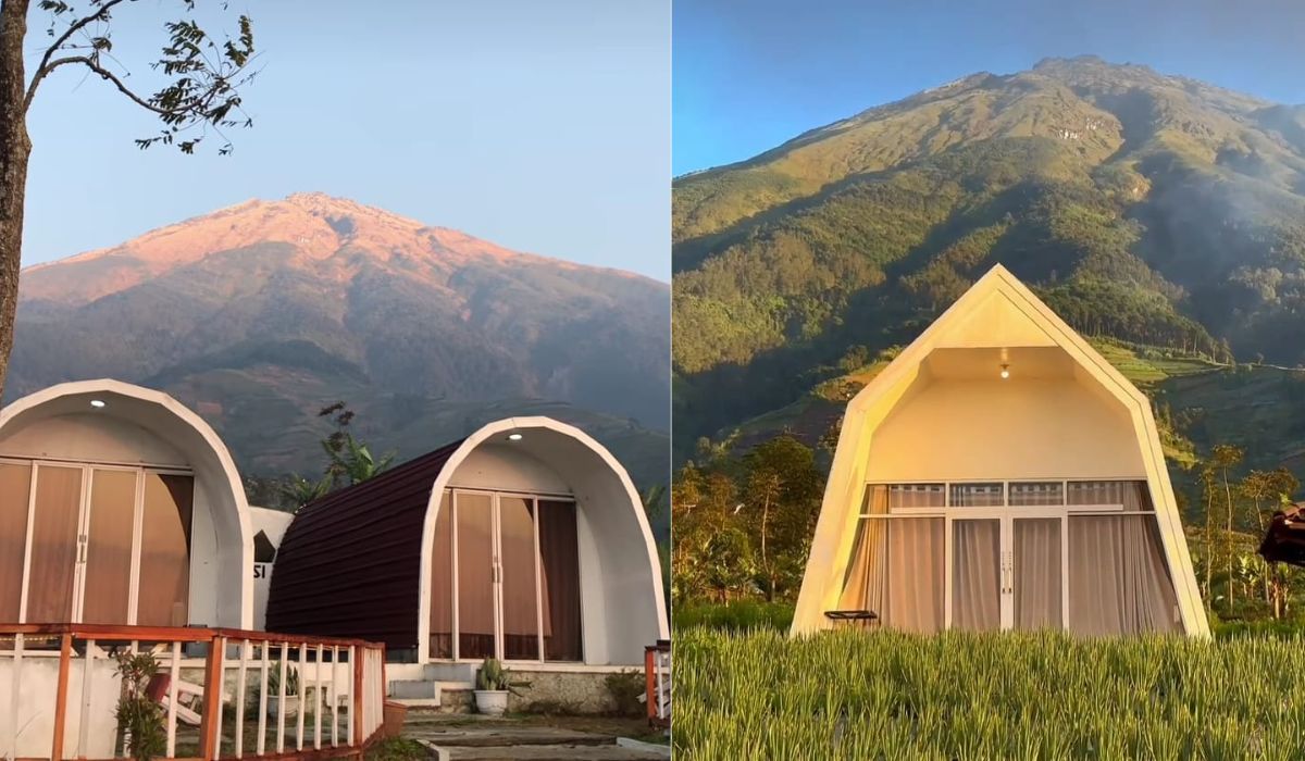 Lokasinya Berdekatan, Ini Perbedaan Trianggulasi Glamping dan Silancur Glamping