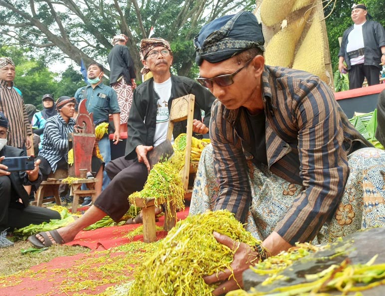 Asosiasi Petani Tembakau Ancam Turun ke Jalan Jika Subsidi ZA Tetap Dicabut