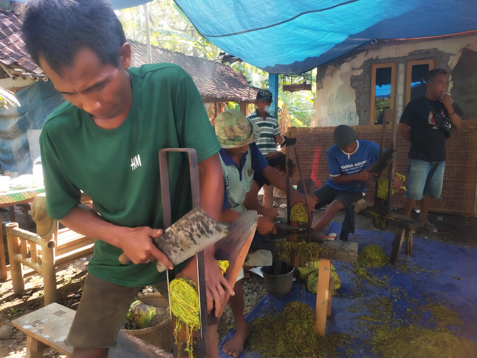 Petani Desa Karangmulyo Purworejo Raup Cuan dari Tembakau yang Tahun Ini Mulai Membaik