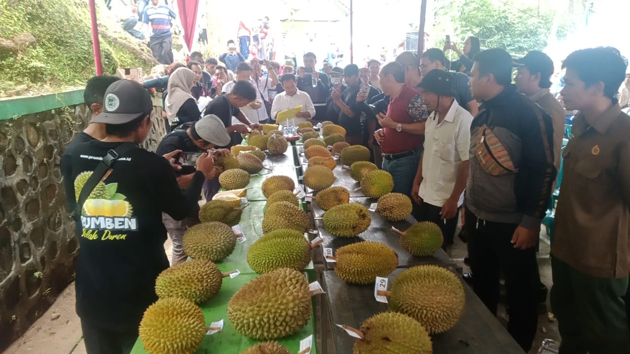 Festival Prumben Belah Duren di Purworejo Ini Berpotensi Menasional