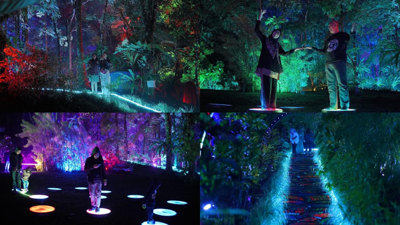 Menarik! Luma Root Lightscape Hadir di Jogja, Sensasi Menjelajah 7 Fase Kehidupan di Hutan Ajaib Warna-Warni