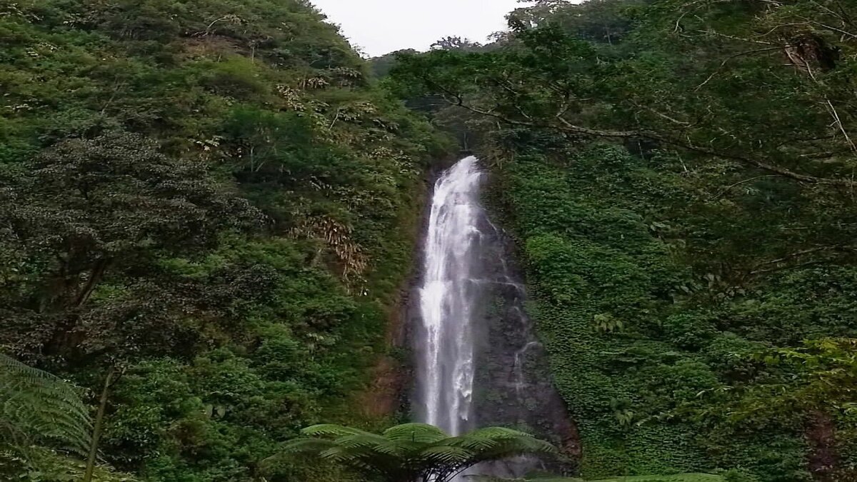 Wisata Tersembunyi Air Terjun Tancak yang Wajib Kamu Kunjungi di Jember!