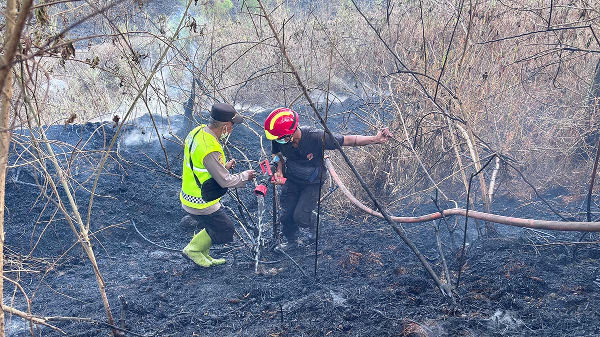 Kebakaran Hutan Gunung Merapi di Magelang Meluas, 5 Hektare Lahan Hangus Terbakar