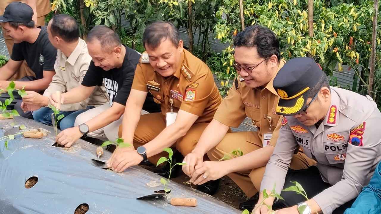 Pakis Kabupaten Magelang Mantapkan Diri Sentra Cabai Nasional