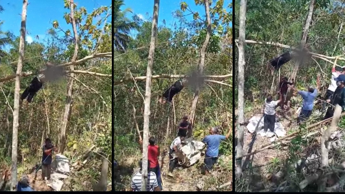 HEBOH! Pria di Pacitan Ini Meninggal di Atas Pohon Saat Nyari Daun Buat Pakan Ternak