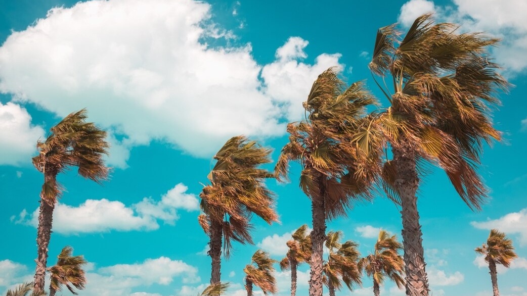 Angin Kencang Terjang Magelang, BNPB Edukasi Mitigasi Bencana