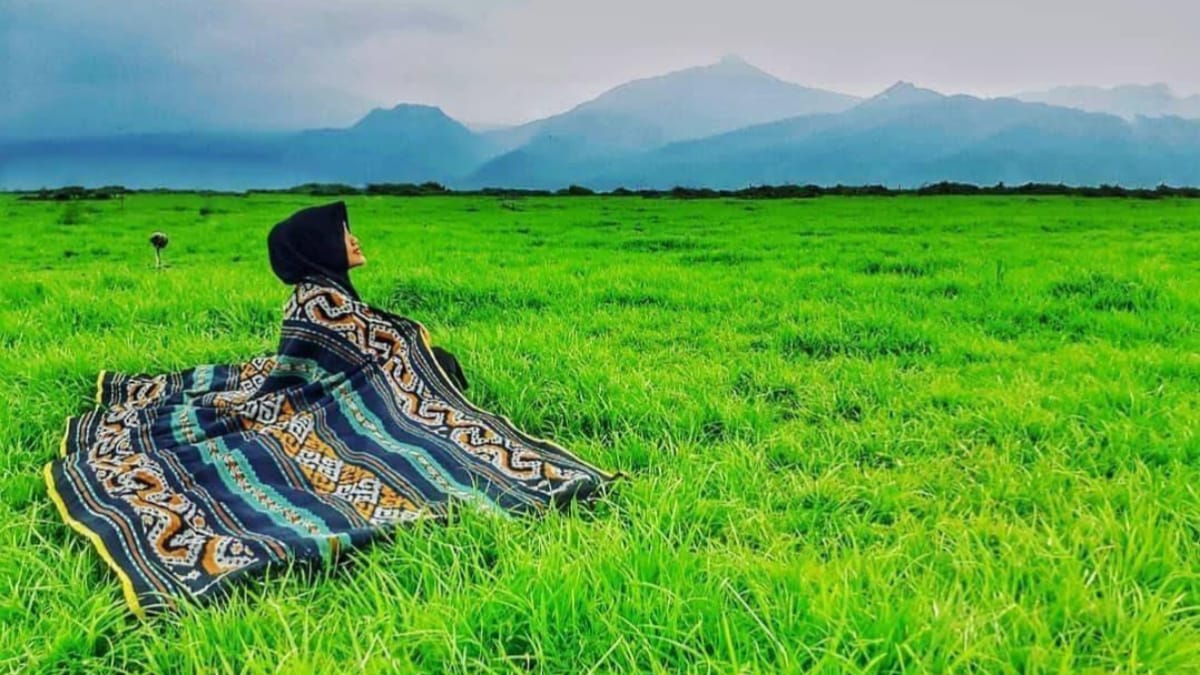 Dulu Viral Sekarang Kembali ke Bentuk asal! Inilah Fenomena Unik Danau Berubah Menjadi Sabana