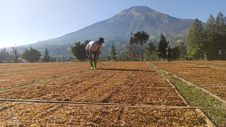 12.794 Warga Temanggung Terima Bantuan, Cek Besarannya 