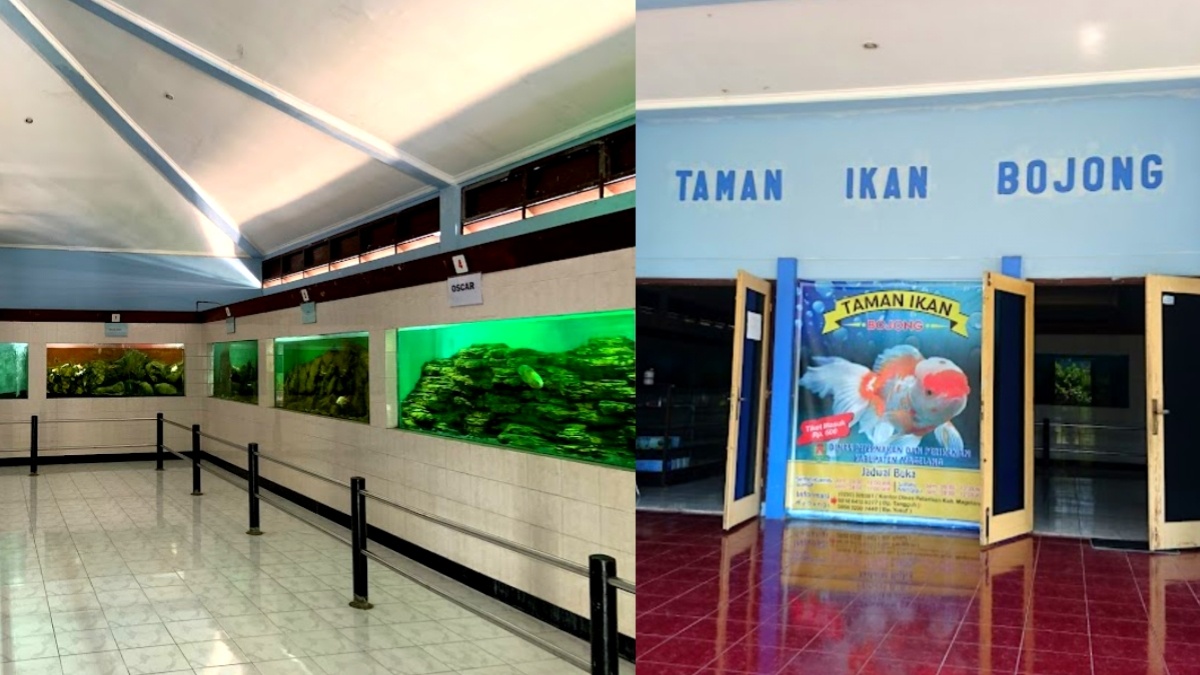 5 Destinasi Wisata Anak di Taman Ikan Bojong Magelang yang Ajak Sikecil Kenali Lebih Dalam Jenis-jenis Ikan !
