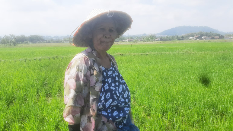 Petani di Bandongan Magelang Keluhkan Kurangnya Program dari Pemerintah untuk Pertanian