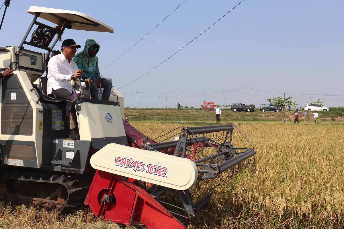 Tingkatkan Pompanisasi, Kementan Pastikan Tanam Padi Berkelanjutan