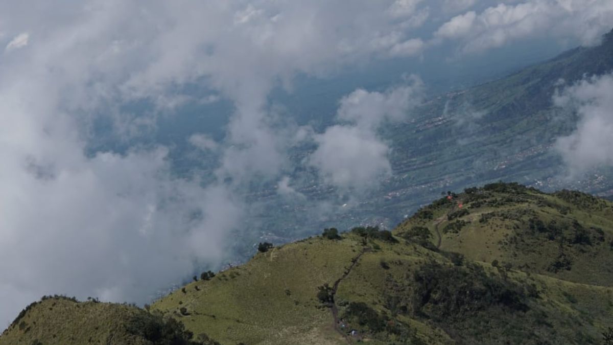 Indahnya Pesona ke Puncak Merbabu Via Cuntel, Anak Gunung Wajib Tahu 