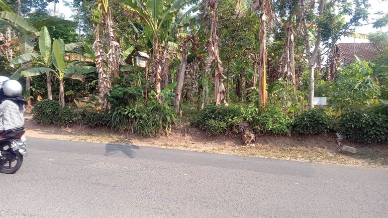 Tanah Kas Desa di Purworejo Diduga Diserobot Warga