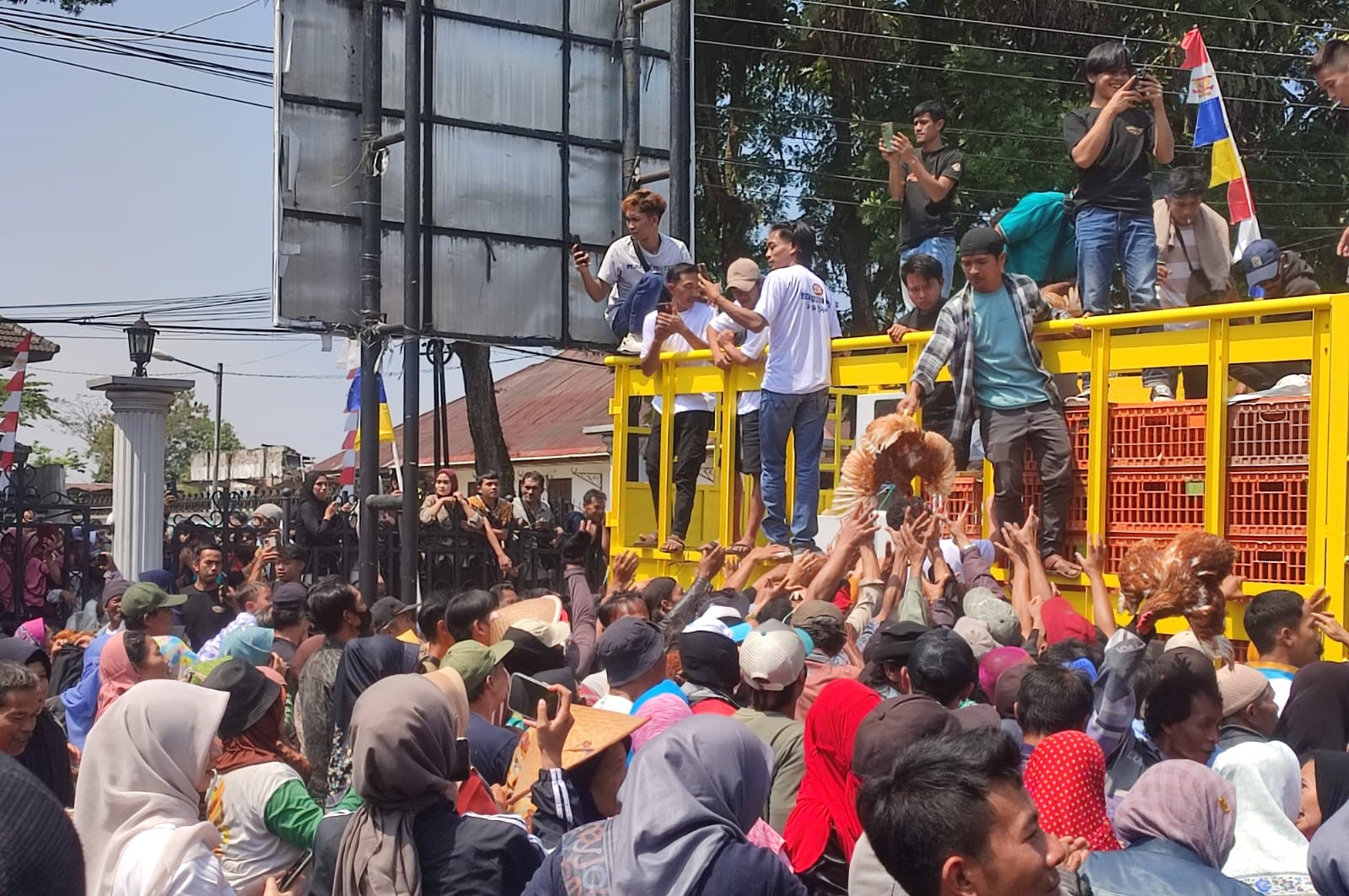 Peternak Ayam Wonosobo Tuntut Harga Telur Naik, Pakan Turun