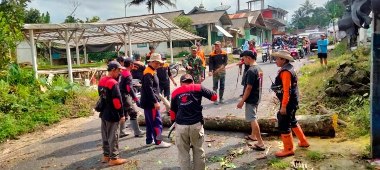 Pohon 'Pengancam' Pengguna Jalan di Jalur Evakuasi Merapi Ditebang