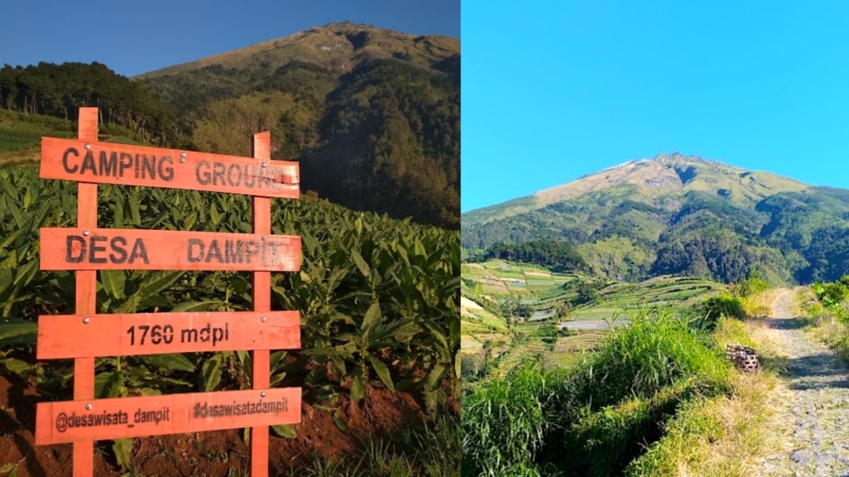 Spot Sunrise di Magelang, Desa Dampit Keindahan dari 1.760 mdpl di Lereng Gunung Sumbing