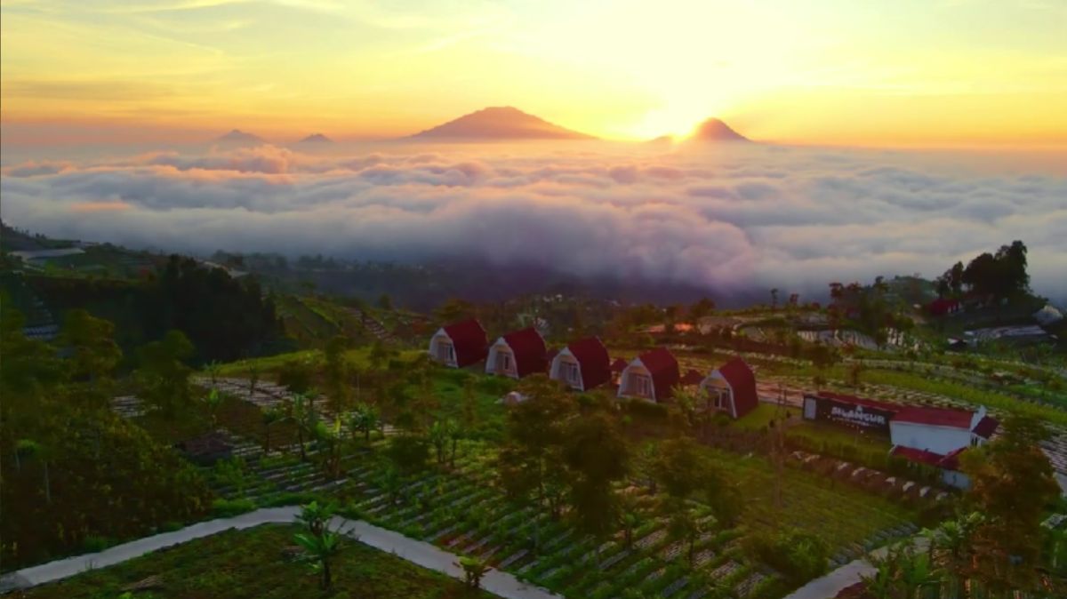 Cuma 2 Jam dari Jogja, Nikmati Pengalaman Glamping di Kaki Gunung Sumbing