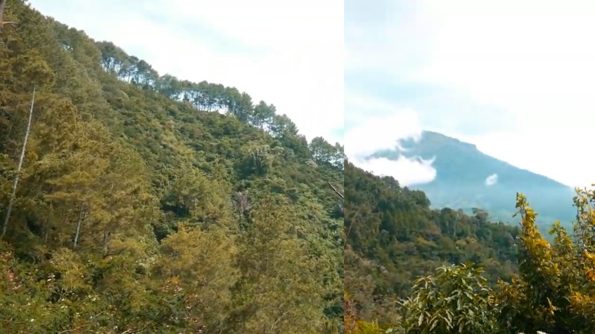 Wisata Tersembunyi di Magelang, Bukit Sukorini Windusari Masih Simpan Keindahan Alamnya Hingga Kini!