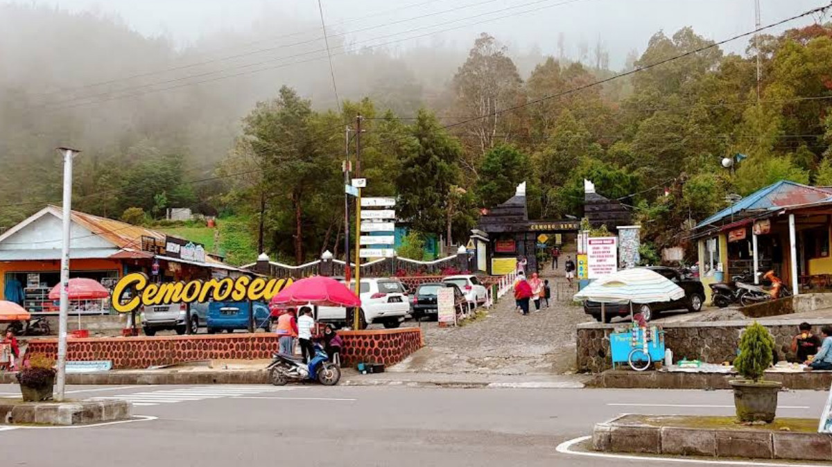 Intip Pesona Cemoro Sewu yang Bikin Candu, Destinasi Wisata Hits Dengan Julukan Gerbang Surga Gunung Lawu