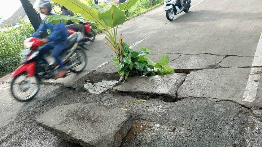 Resah Jalan Berlubang, Warga Temanggung Letakkan Tanaman Hias Hingga Boneka di Tengah Jalur