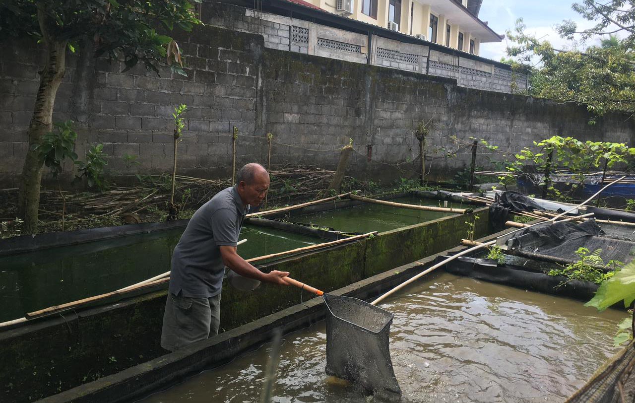Warga Kota Magelang Ternyata Paling Suka Konsumsi Ikan Lele