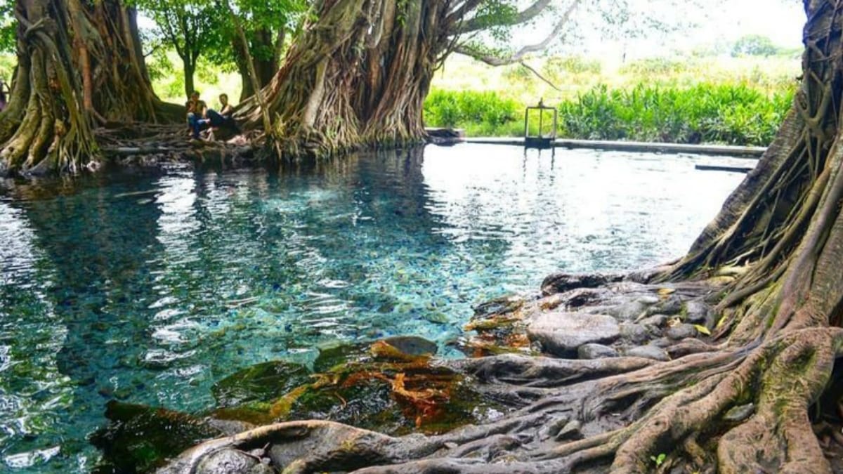 Cobain Segarnya Berendam di Umbul Manten Klaten, Airnya Sejernih Kaca dan Sejuk!