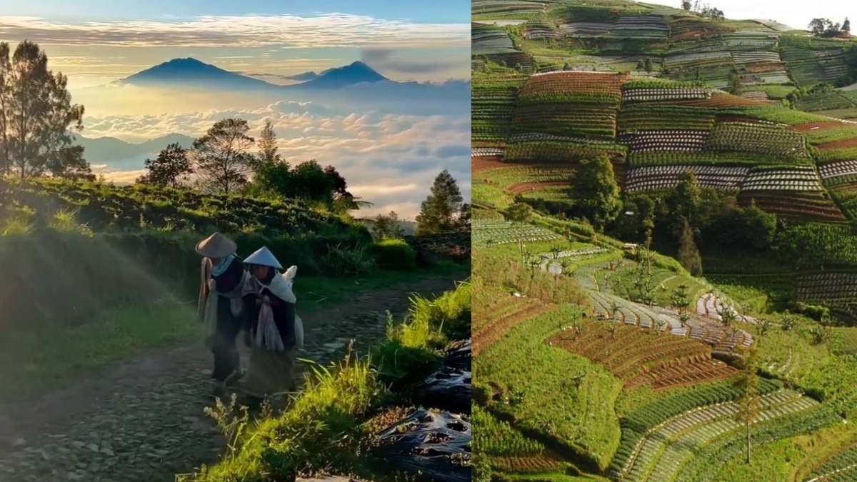 Spot Foto Cantik dari Dusun Prampelan Magelang yang Suguhkan View Gunung Sumbing Menawan