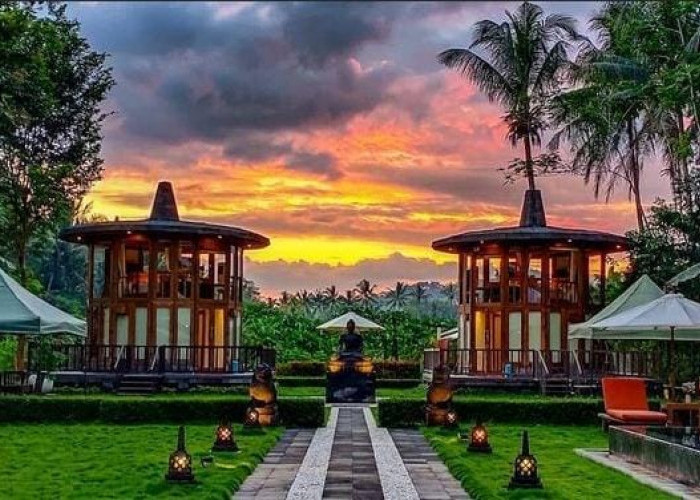 Unik! Hotel Le Temple di Borobudur Suguhkan Jungle New Year di Area Persawahan