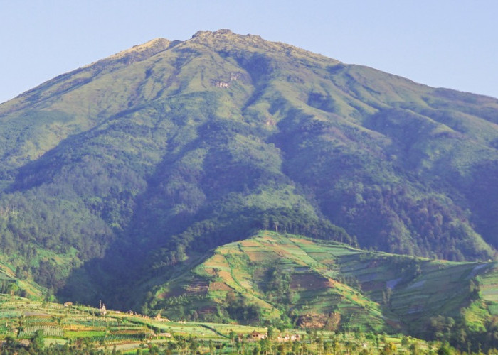 Alas Dampit Lereng Sumbing Magelang