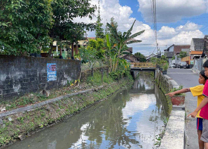 Warga Kampung Jambon Magelang Sulap Sungai Jadi Kolam Ikan, Panen Dibagikan Gratis