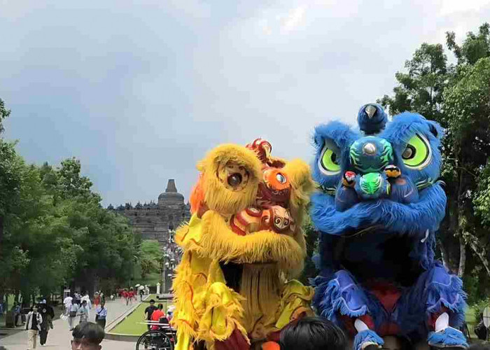 Aksi Barongsari Hibur Pengunjung Candi Borobudur Magelang di Hari Imlek