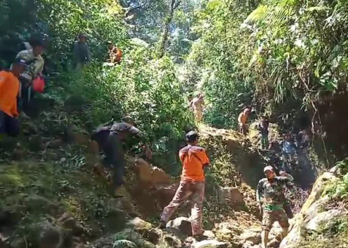 Tersesat di Gunung Bismo Wonosobo, Seorang Lansia Sudah 6 Hari Menghilang Belum Ditemukan