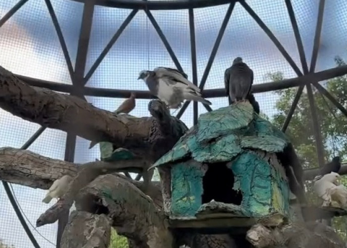 Alun-alun Purworejo Menjadi Kawasan Ramah Anak, Sediakan Mini Aviary Hingga Playground