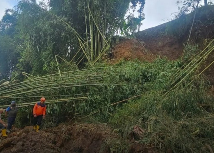 Tebing 15 Meter Longsor di Candiroto Temanggung, Irigasi dan Saluran Air Bersih Terdampak