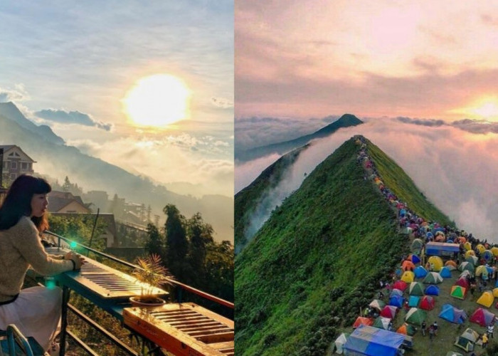 5 Rekomendasi Cafe dengan View Gunung Andong, Berasa Menyatu dengan Alam