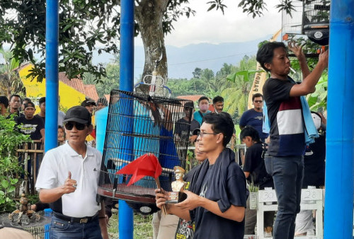 Ratusan Penggemar Burung Kicau di Purworejo Rayakan HUT Bhayangkara