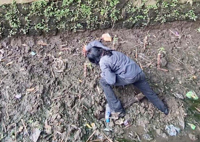 Sindir Parahnya Sedimentasi, Paguyuban Peduli Kali Magelang Tanam Ketela di Sungai