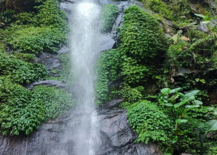 Menemukan Keindahan Tersembunyi: Eksplorasi Air Terjun Semirang di Ungaran