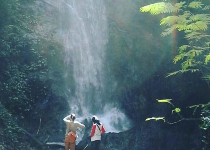 Curug Drimas Wonosobo, Pesona Keindahan Berbalut dengan Hawa Dingin yang Menyegarkan