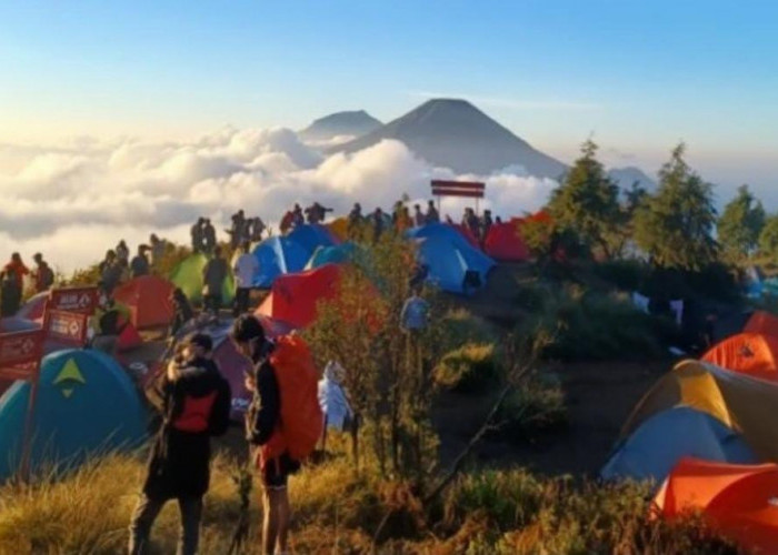 Usai Tutup 3 Bulan, Jalur Pendakian Gunung Prau Kembali Ramai